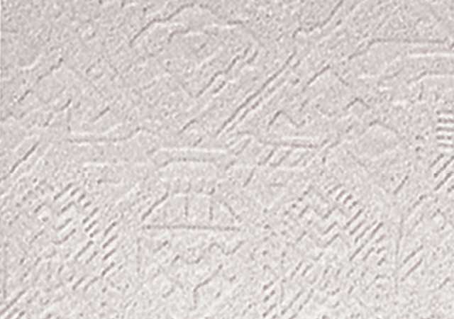 Gypsum Ceiling Tile Type 05