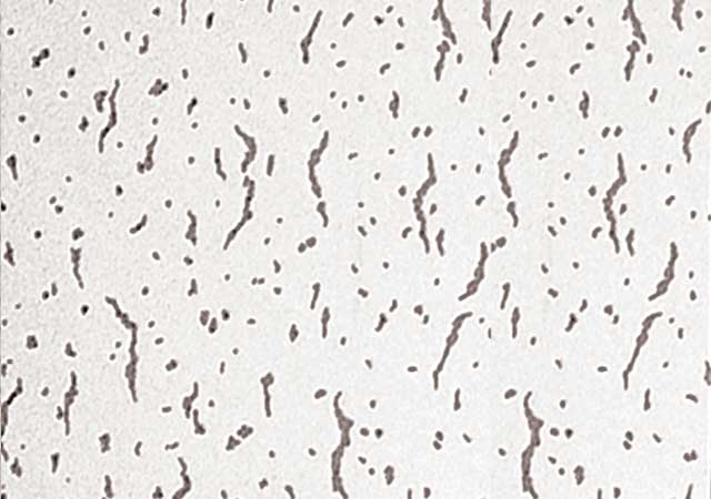 Gypsum Ceiling Tile Type 09